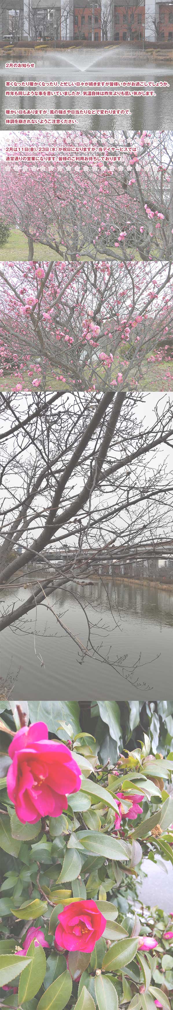 2022年2月のお知らせ