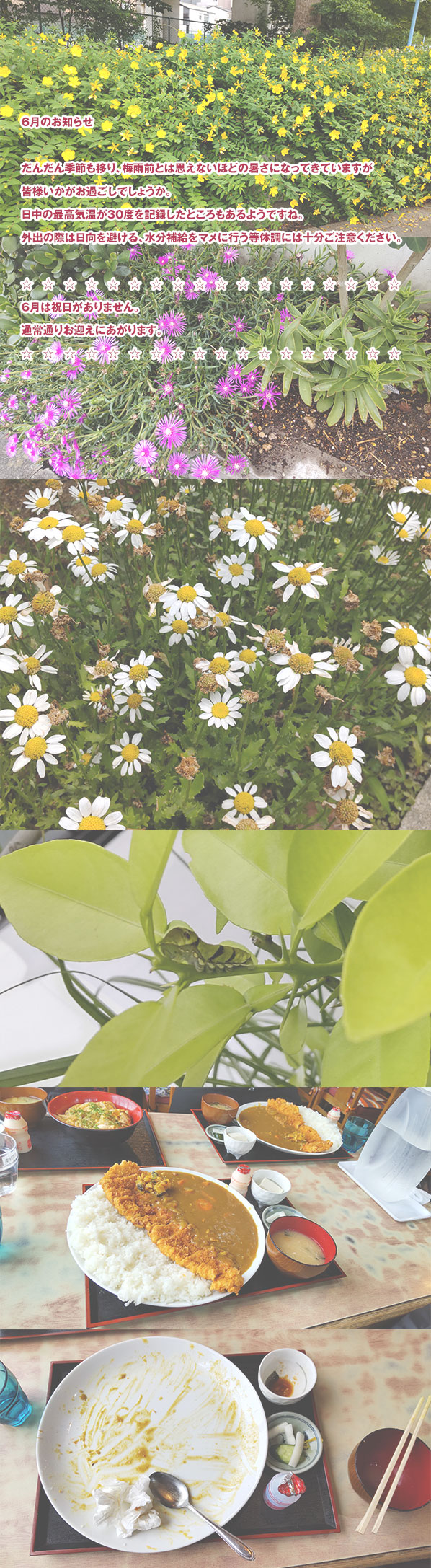 2022年6月のお知らせ