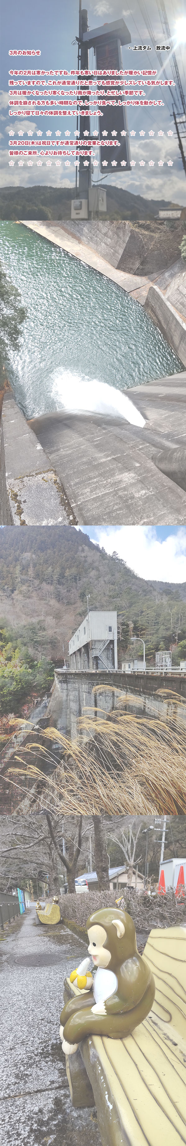 2025年3月のお知らせ